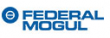 Federal Mogul